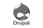 drupal-logo-doergroup.com
